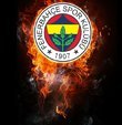 Injury crisis at Fenerbahçe!